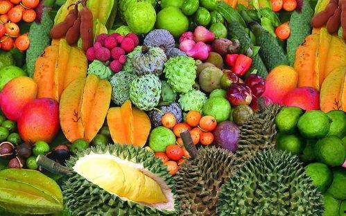 海南水果市场爆料视频最新,新鲜热带水果盛宴来袭! 第2张 海南水果市场爆料视频最新,新鲜热带水果盛宴来袭! 第2张